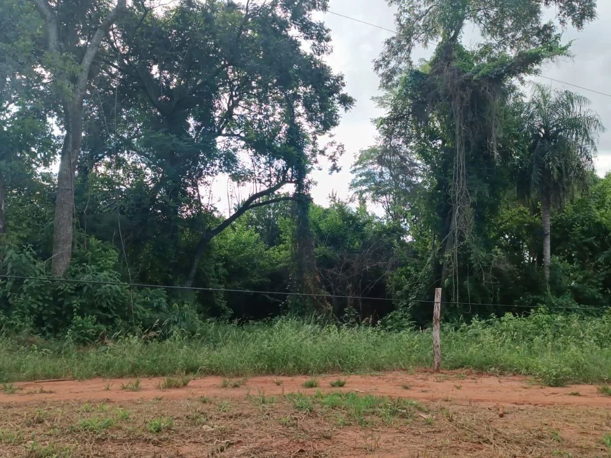 Terreno en venta de 3.235 m² en Capiatá, Ruta 2