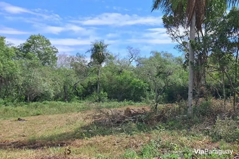 Terreno à venda de 360 m² em Piribebuy, Cordillera