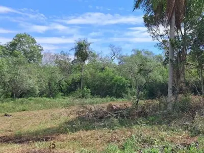 Terreno à venda de 360 m² em Piribebuy, Cordillera
