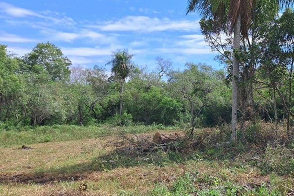 Terreno à venda de 360 m² em Piribebuy, Cordillera