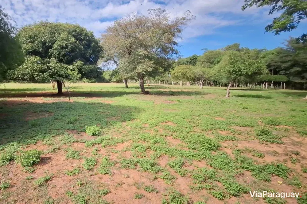 Terreno à venda de 3.600 m² em Caacupé, Cordillera