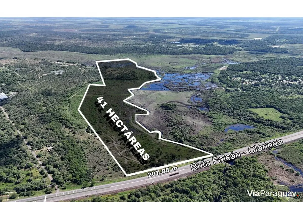 Land for sale spanning 41 hectares in Nueva Asunción