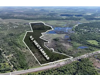Land for sale spanning 41 hectares in Nueva Asunción