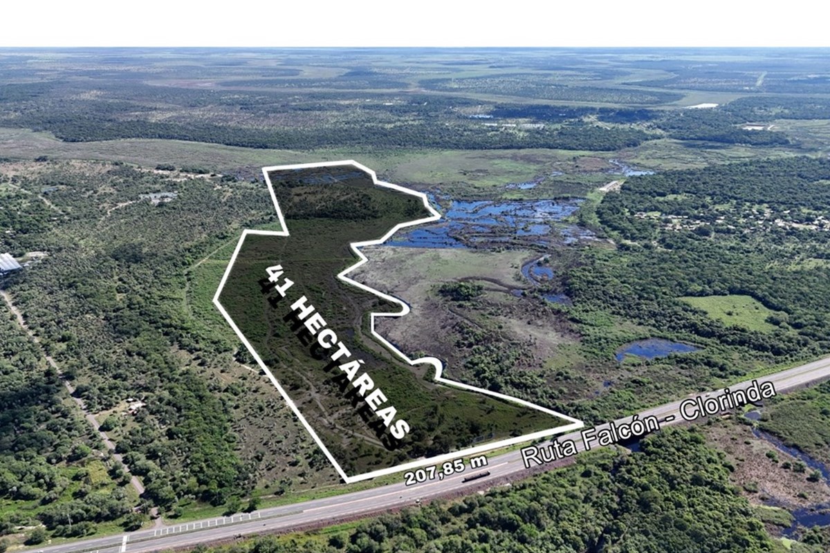 Land for sale spanning 41 hectares in Nueva Asunción