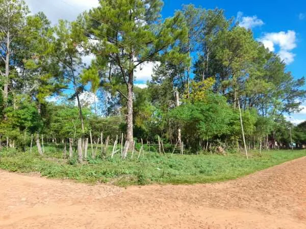 Terreno en venta de 4.480 m² en San José de los Arroyos, Caaguazú