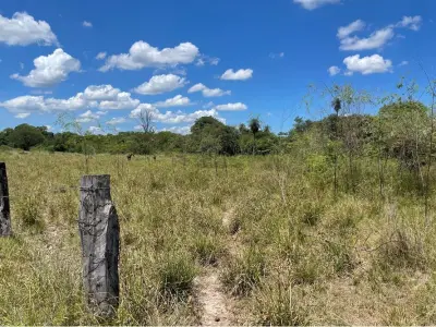 Terreno à venda de 4.612 m² em Villa Oliva, Ñeembucú