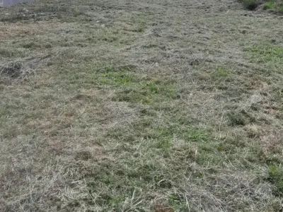 Terreno en venta de 480 m² en Jhugua Jhu, San Bernardino 1