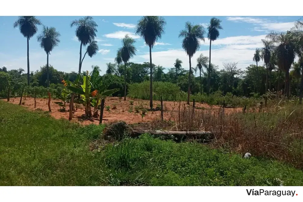 Terreno à venda de 720 m² em Pindolo, Areguá