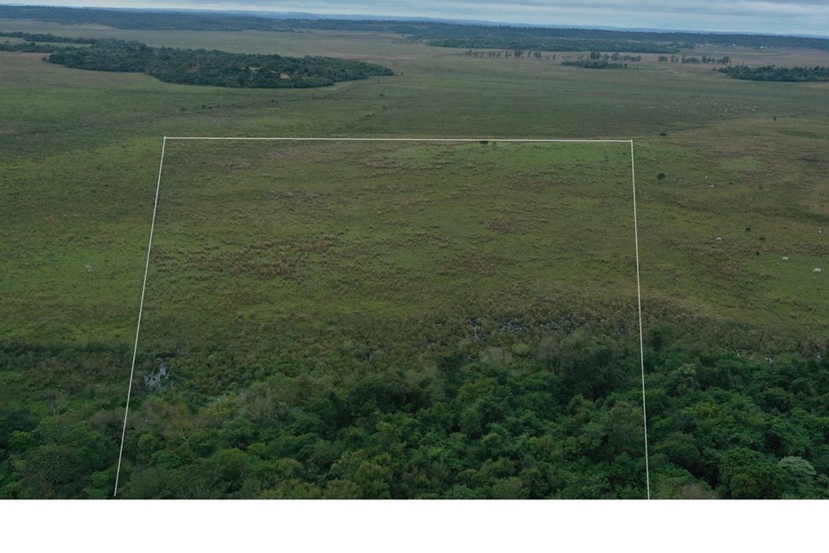 Land for sale, 7.3 ha on asphalt in 3 de Mayo