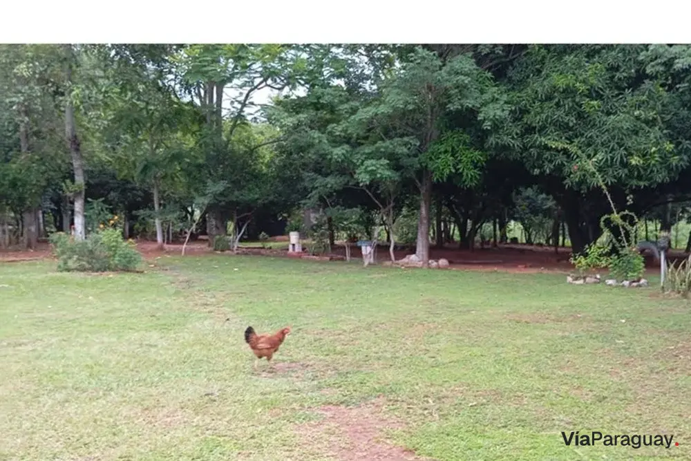 Land for sale, 8,125 m², in Emboscada, Cordillera