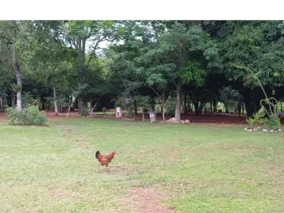 Land for sale, 8,125 m², in Emboscada, Cordillera