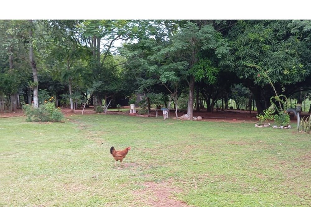 Land for sale, 8,125 m², in Emboscada, Cordillera