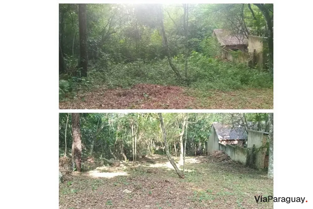 Land for sale of 828 m² in Nueva Colombia, Cordillera