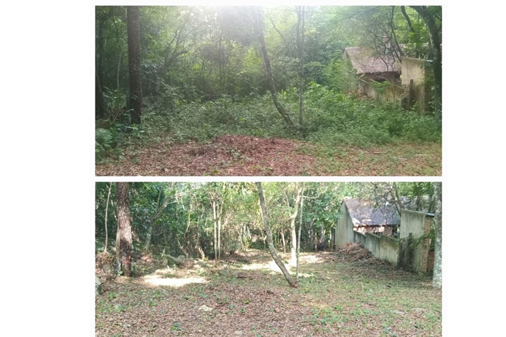 Land for sale of 828 m² in Nueva Colombia, Cordillera
