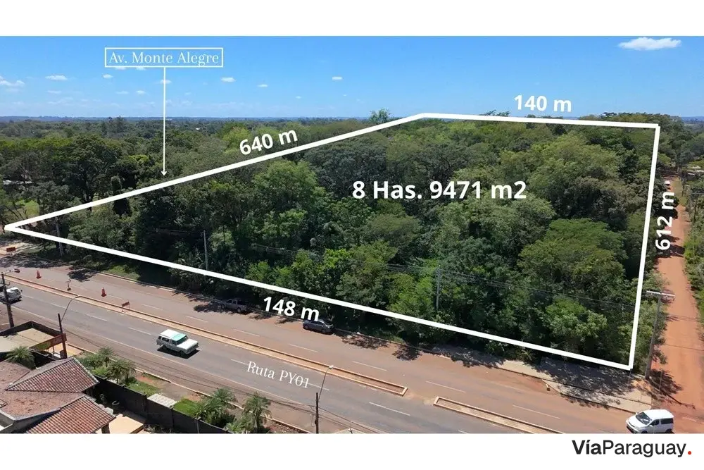 Terreno en venta de 89.471 m² en Coronel Bogado
