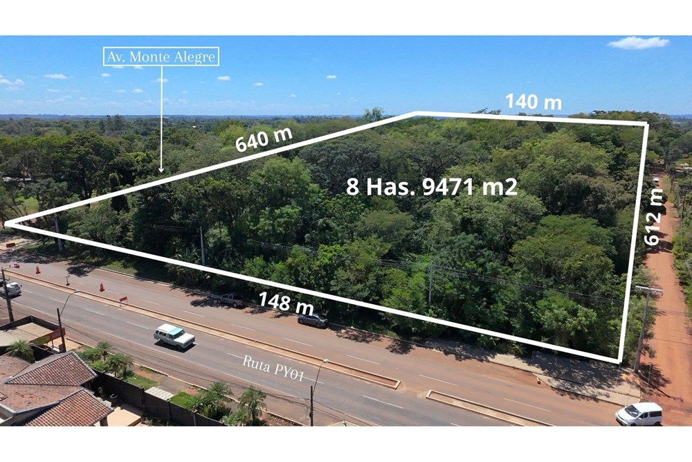 Terreno en venta de 89.471 m² en Coronel Bogado