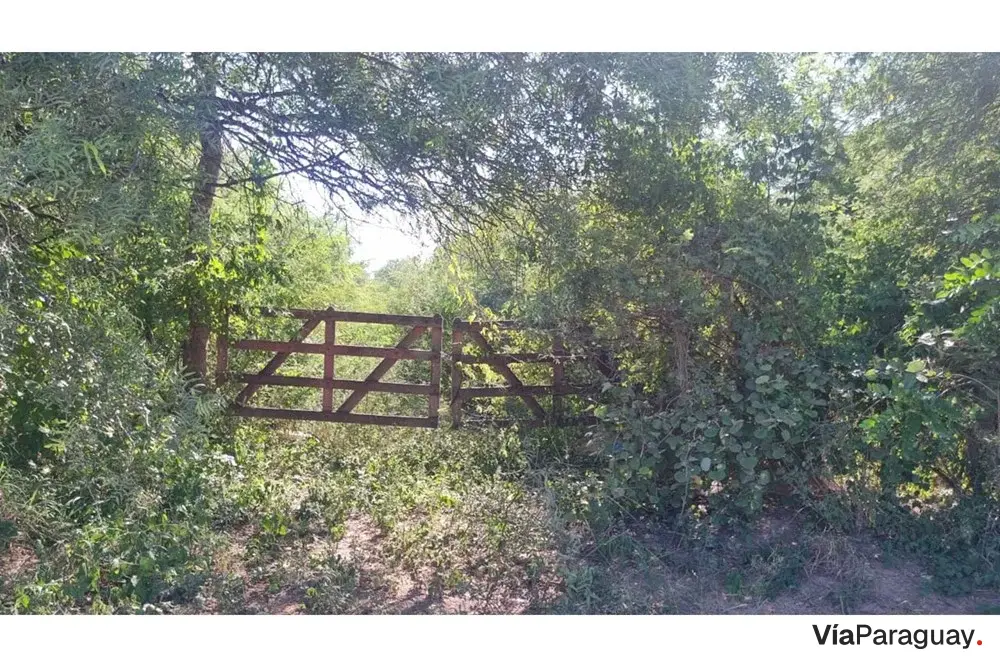 Terreno en venta de 9.697,90 m² en Loma Plata