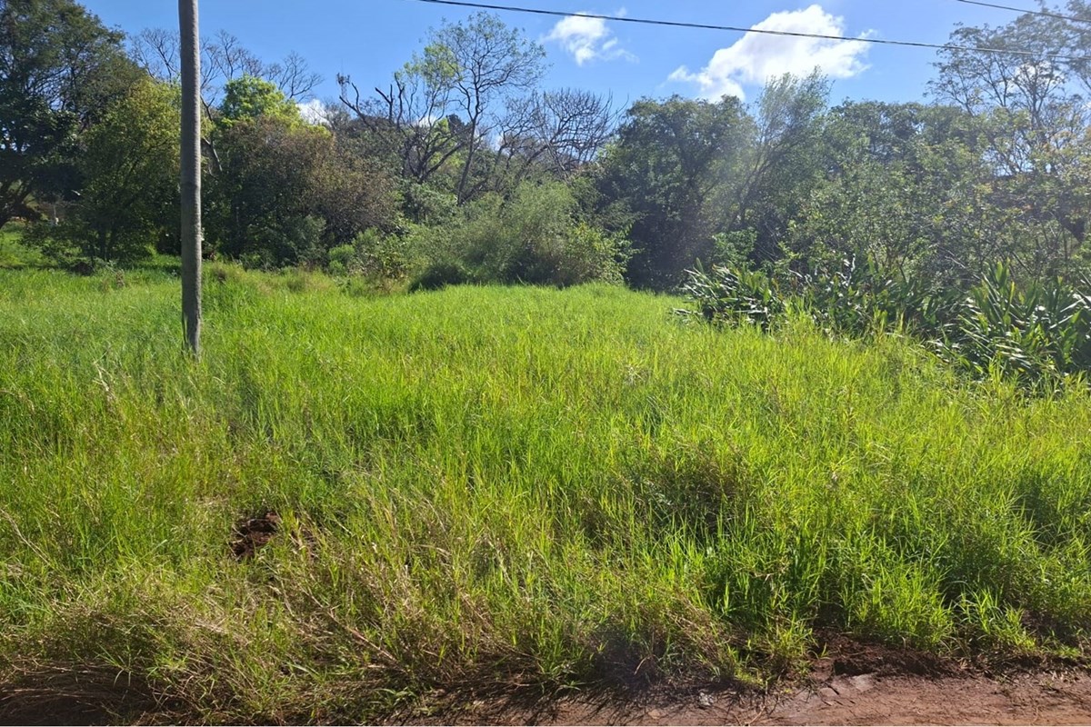 Land for sale in 8 de Diciembre, Encarnación