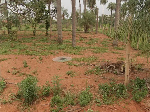 Terreno à venda em Aldama Cañada, Itauguá