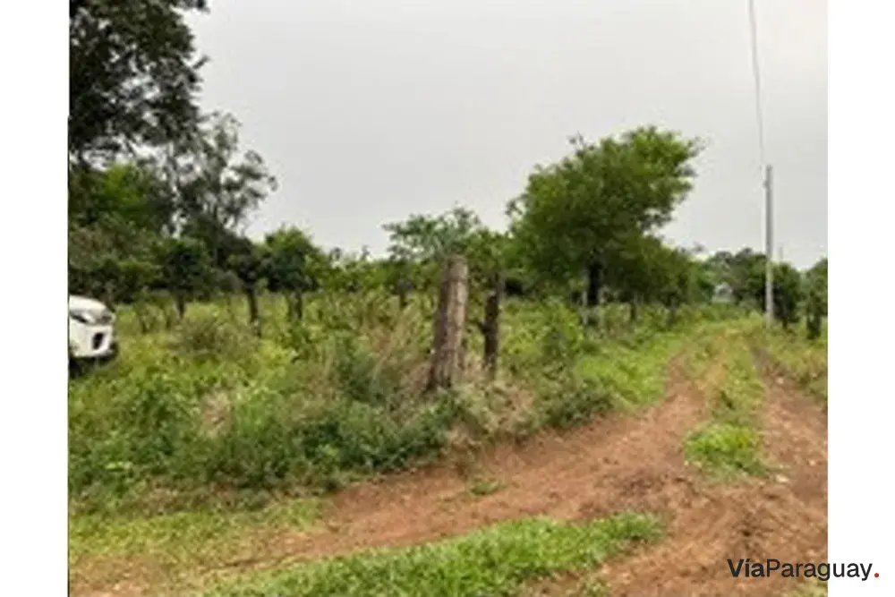 Terreno en venta en Alto Verá, Itapúa