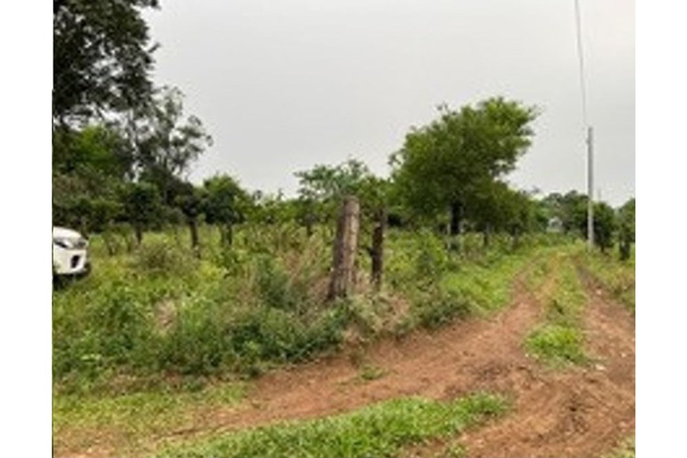 Terreno en venta en Alto Verá, Itapúa