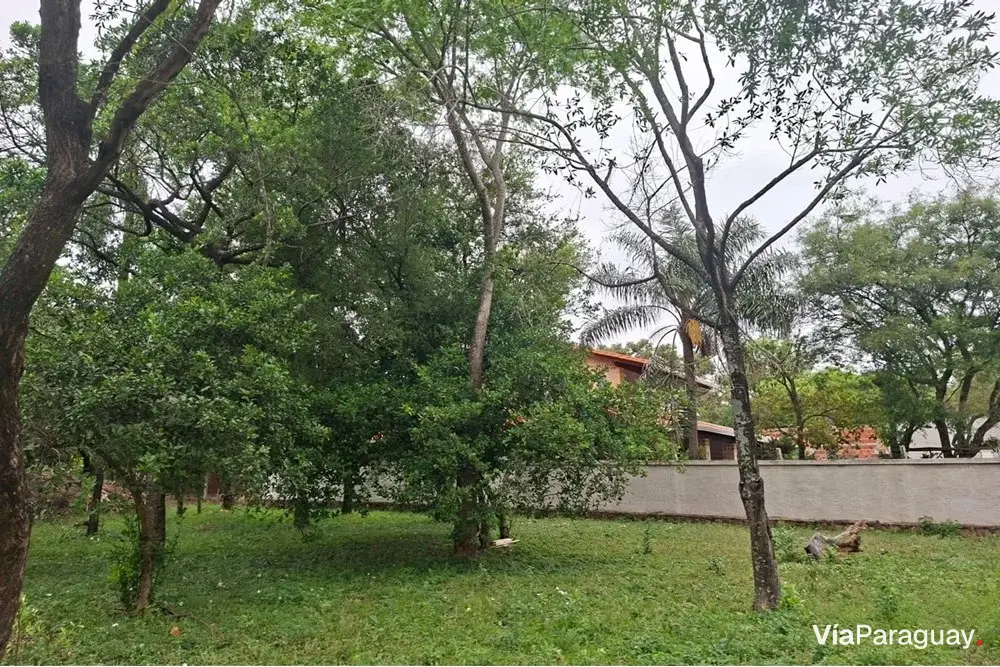 Land for sale in Altos, Cordillera