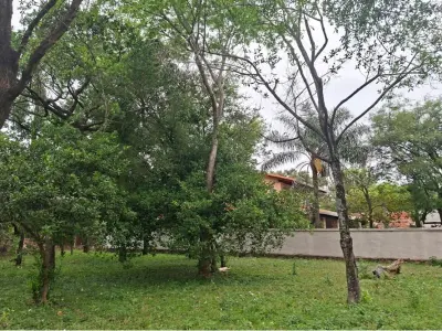 Land for sale in Altos, Cordillera
