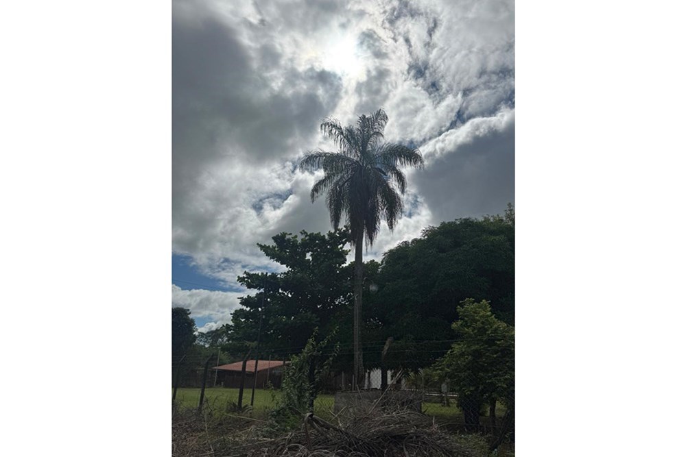 Land for sale in Altos, Cordillera