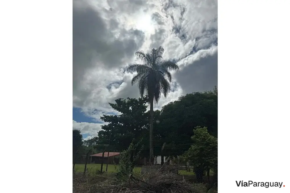 Terreno à venda em Altos, Cordillera