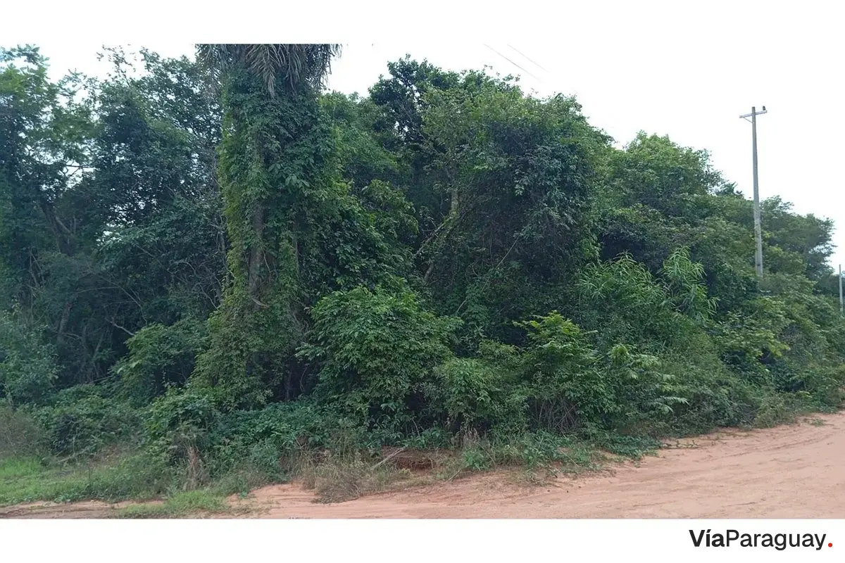 Terreno en venta en Altos, Cordillera