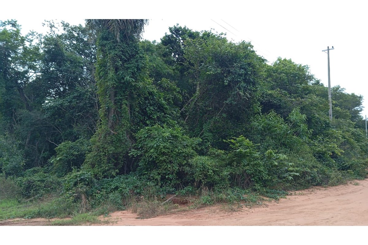 Land for sale in Altos, Cordillera