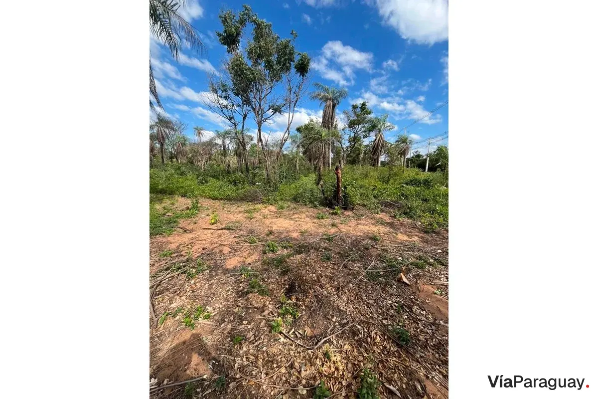 Land for sale in Altos, Cordillera