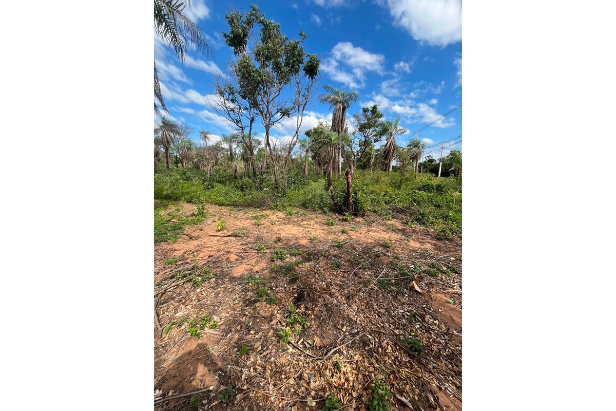 Land for sale in Altos, Cordillera