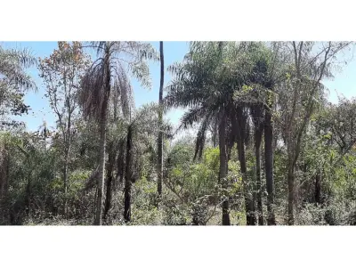 Terreno à venda em Altos, Cordillera