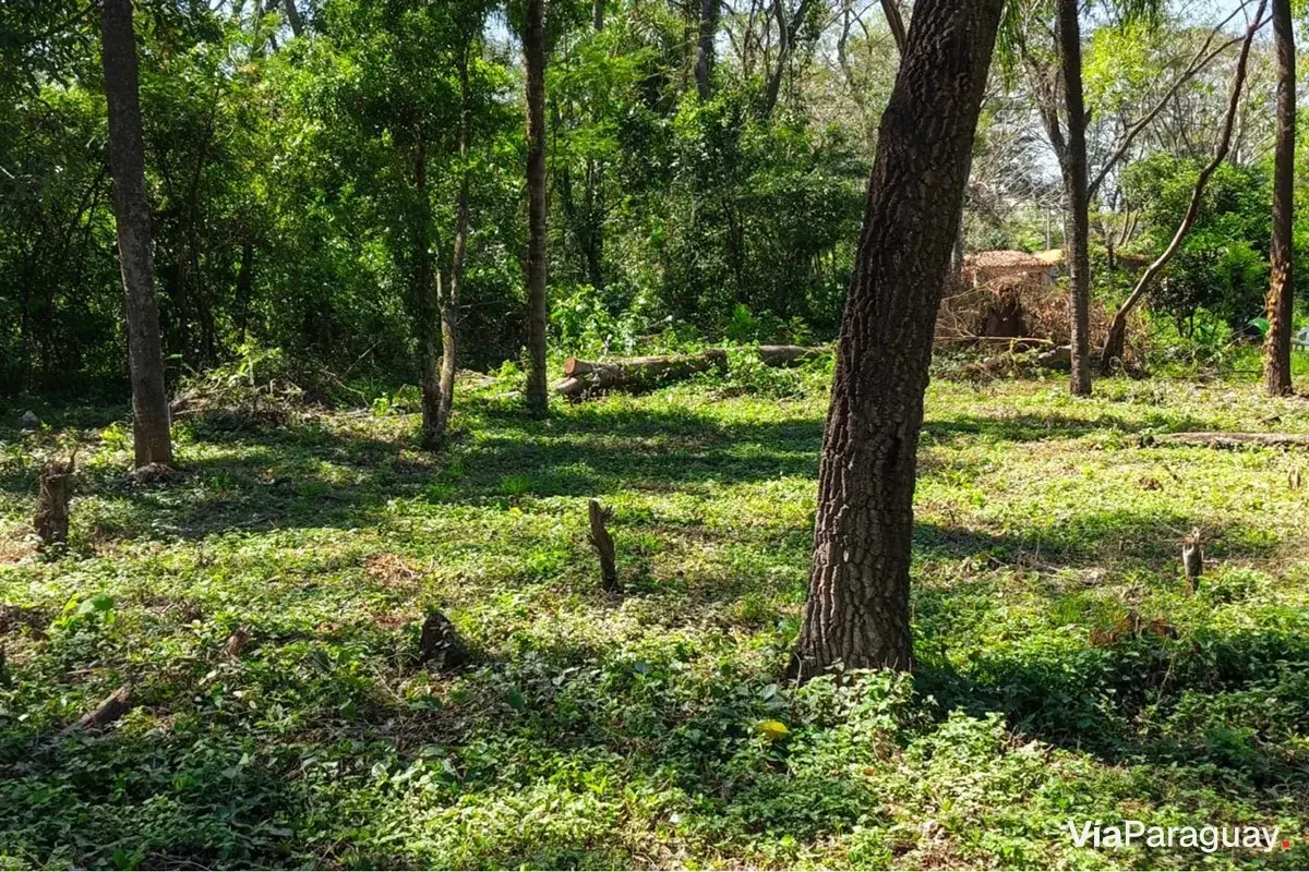 Terreno à venda em Fracción Yvoty, Areguá