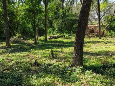 Terreno à venda em Fracción Yvoty, Areguá