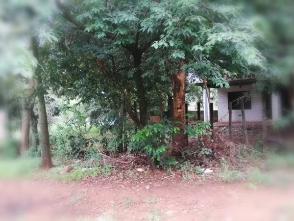 Terreno à venda em Areguá, Central