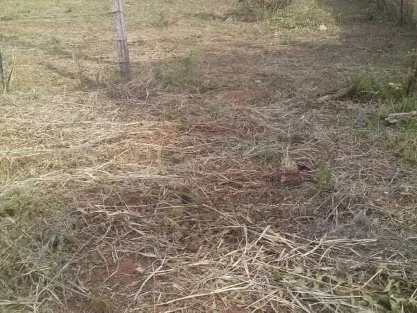 Terreno en venta en Areguá, Departamento Central