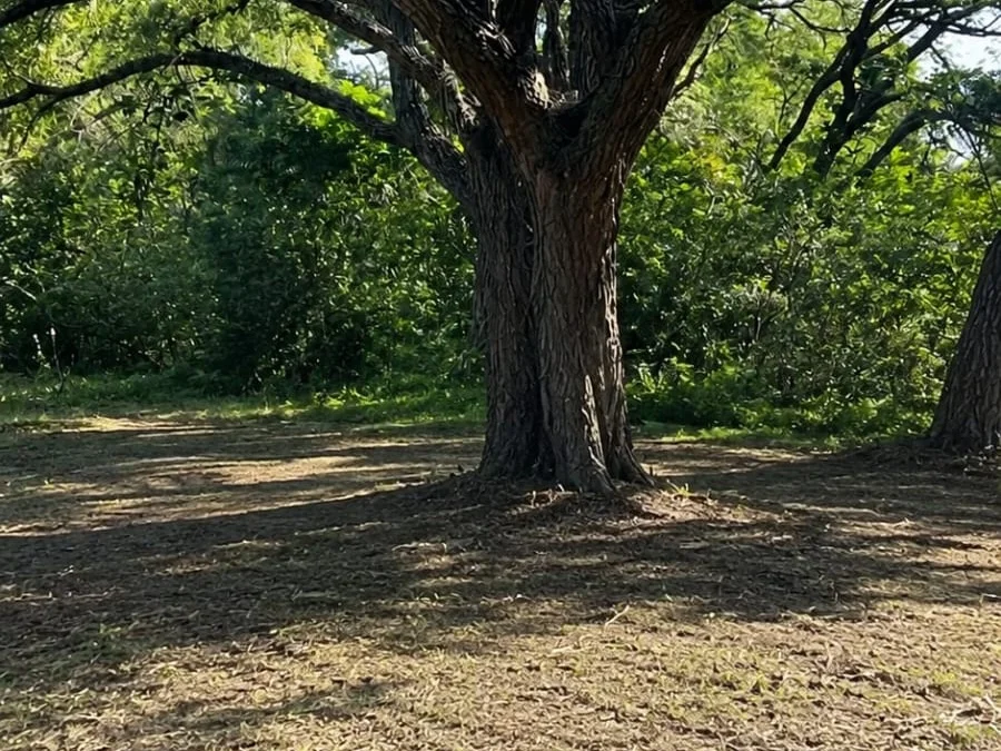 Terreno à venda em Arroyo Estrella, Ypacaraí