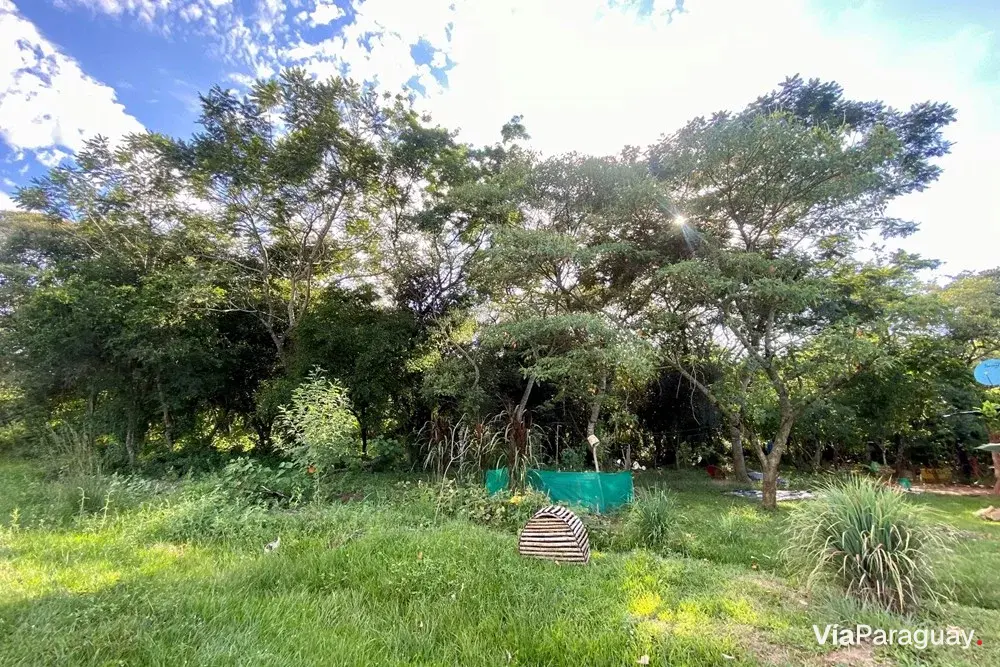 Land for sale in Arroyos y Esteros, Cordillera