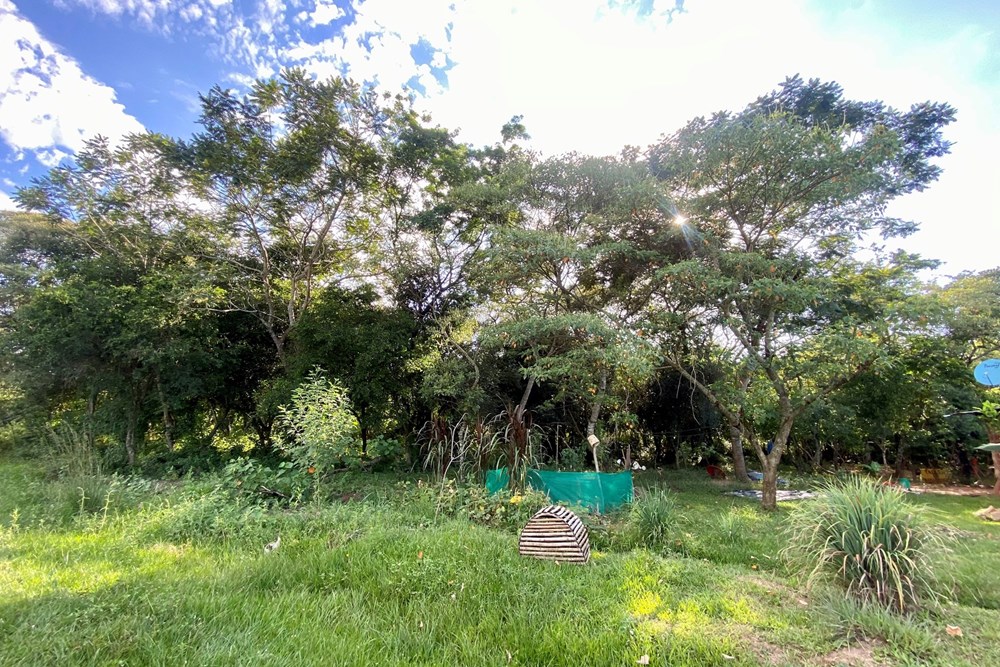 Terreno à venda em Arroyos y Esteros, Cordillera