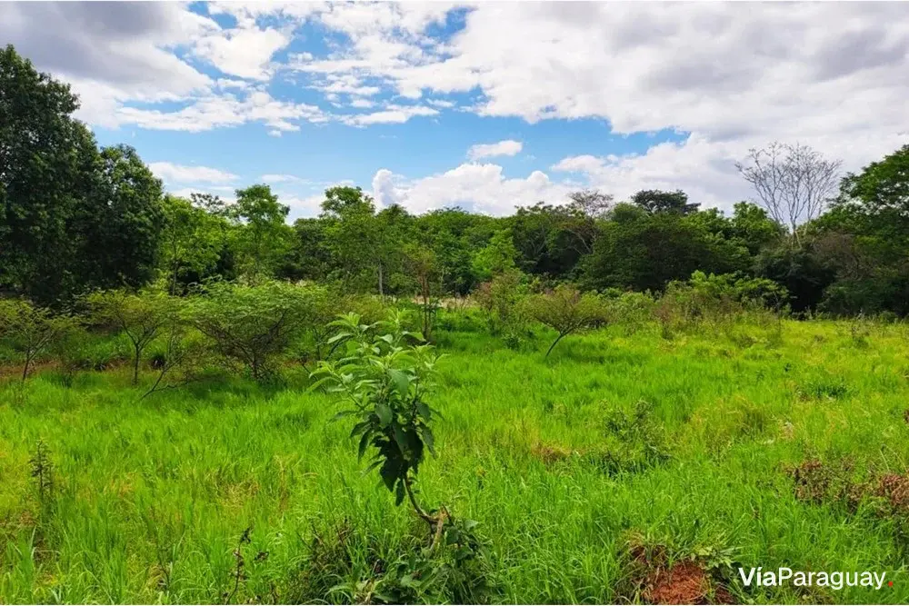 Terreno à venda em Arroyos y Esteros, Cordillera