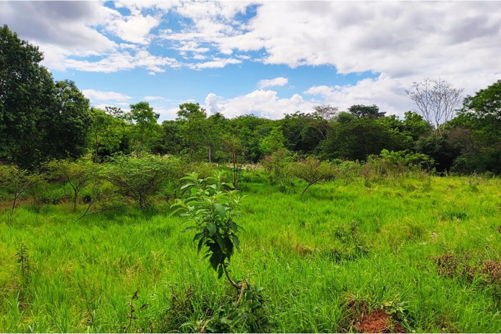 Terreno à venda em Arroyos y Esteros, Cordillera