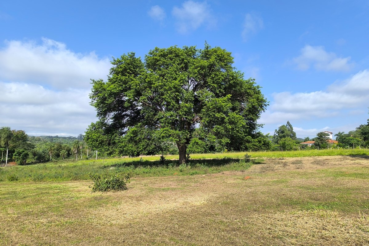 Land for sale in Atyrá, Cordillera