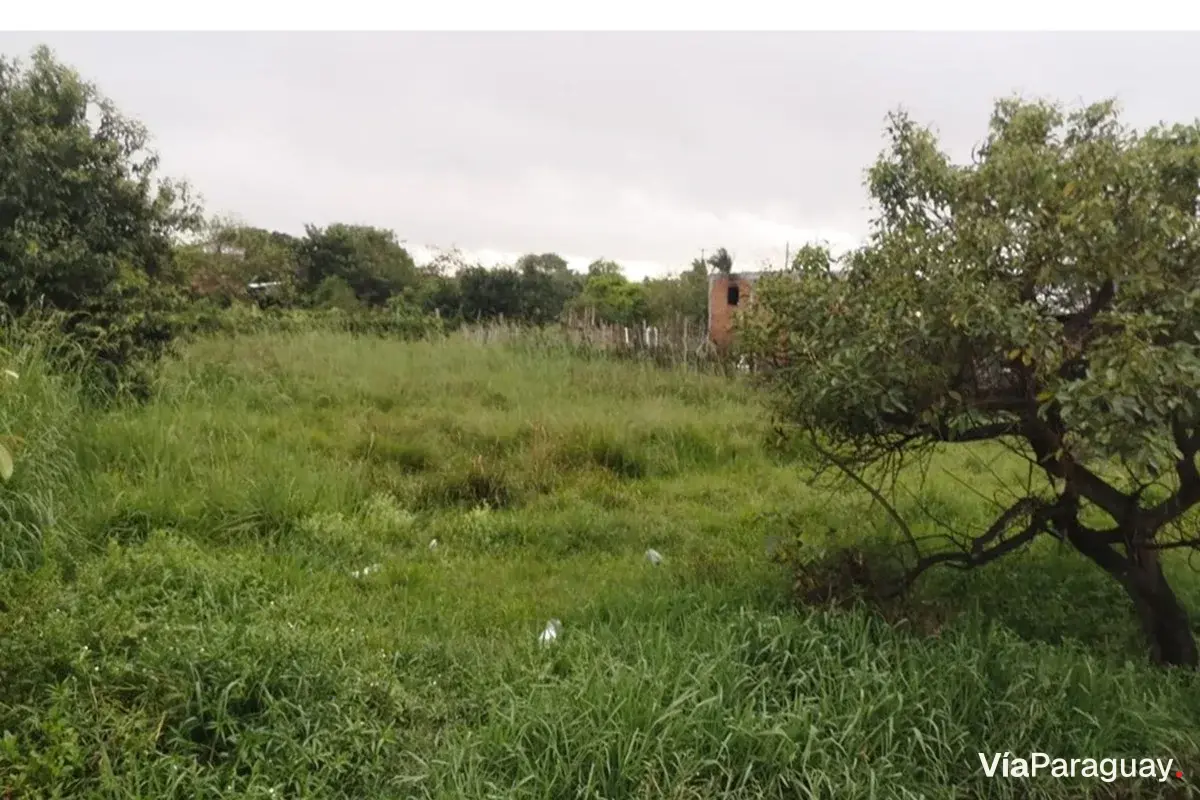 Land for sale in Ayolas, Misiones