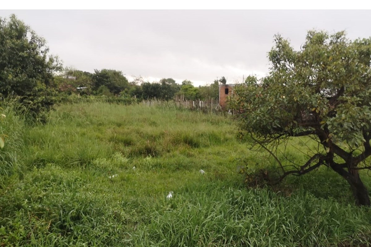 Land for sale in Ayolas, Misiones