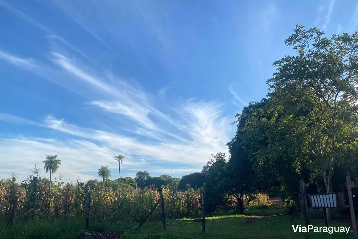 Terreno à venda em B. Santa Inés, Presidente Franco