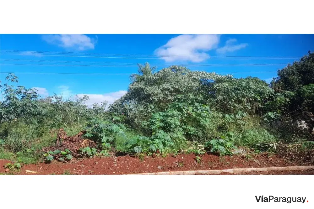Terreno à venda no bairro Caacupemi, Hernandarias