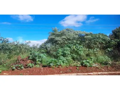 Terreno à venda no bairro Caacupemi, Hernandarias