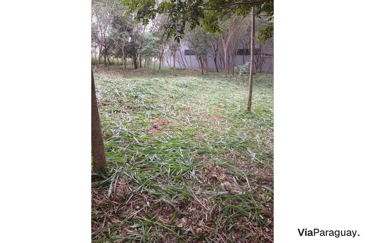 Terreno à venda no Barrio Catedral, Ciudad del Este